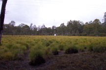 Lake St Clair (Tasmanien)